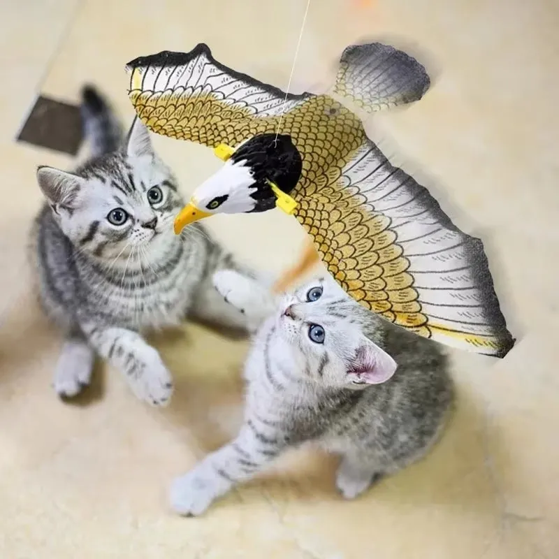 Interactive Cat Toys