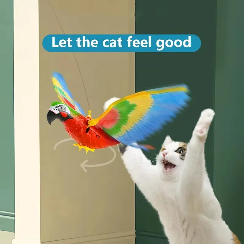 Interactive Cat Toys