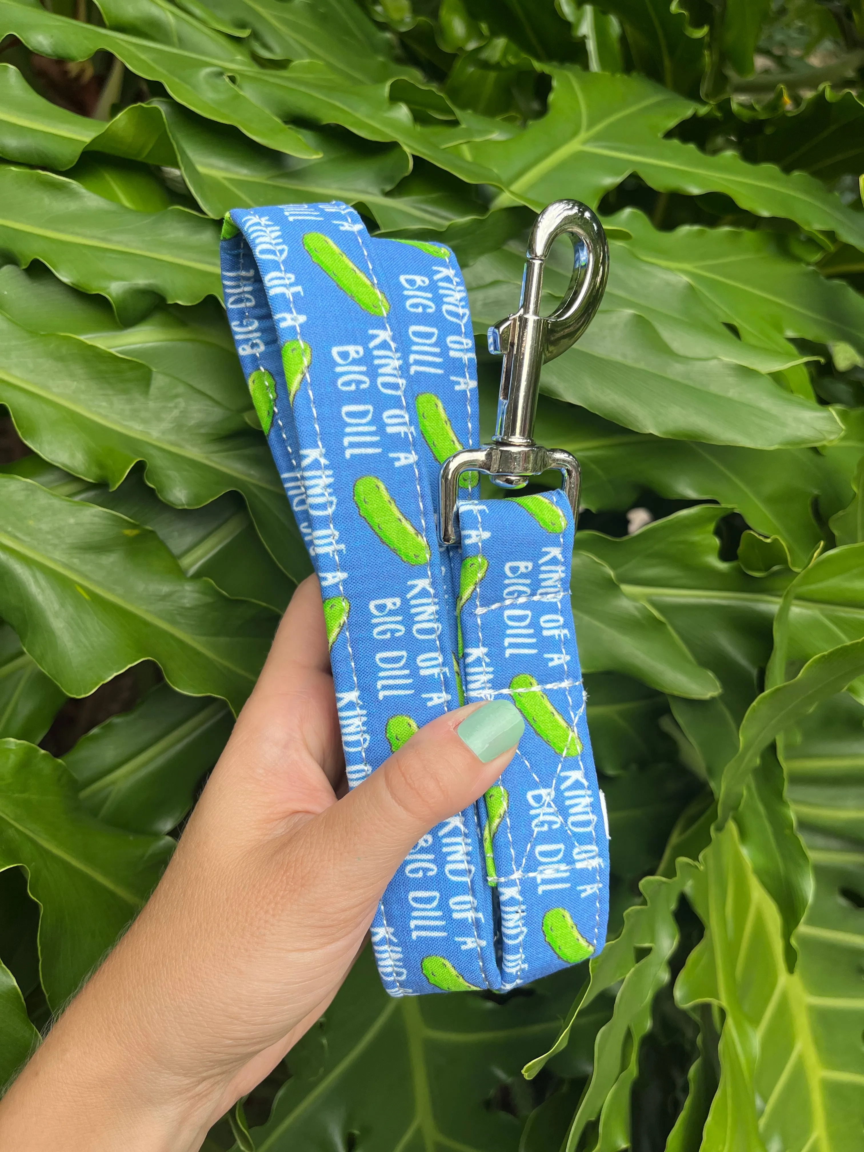 Kind of a Big Dill Dog Leash