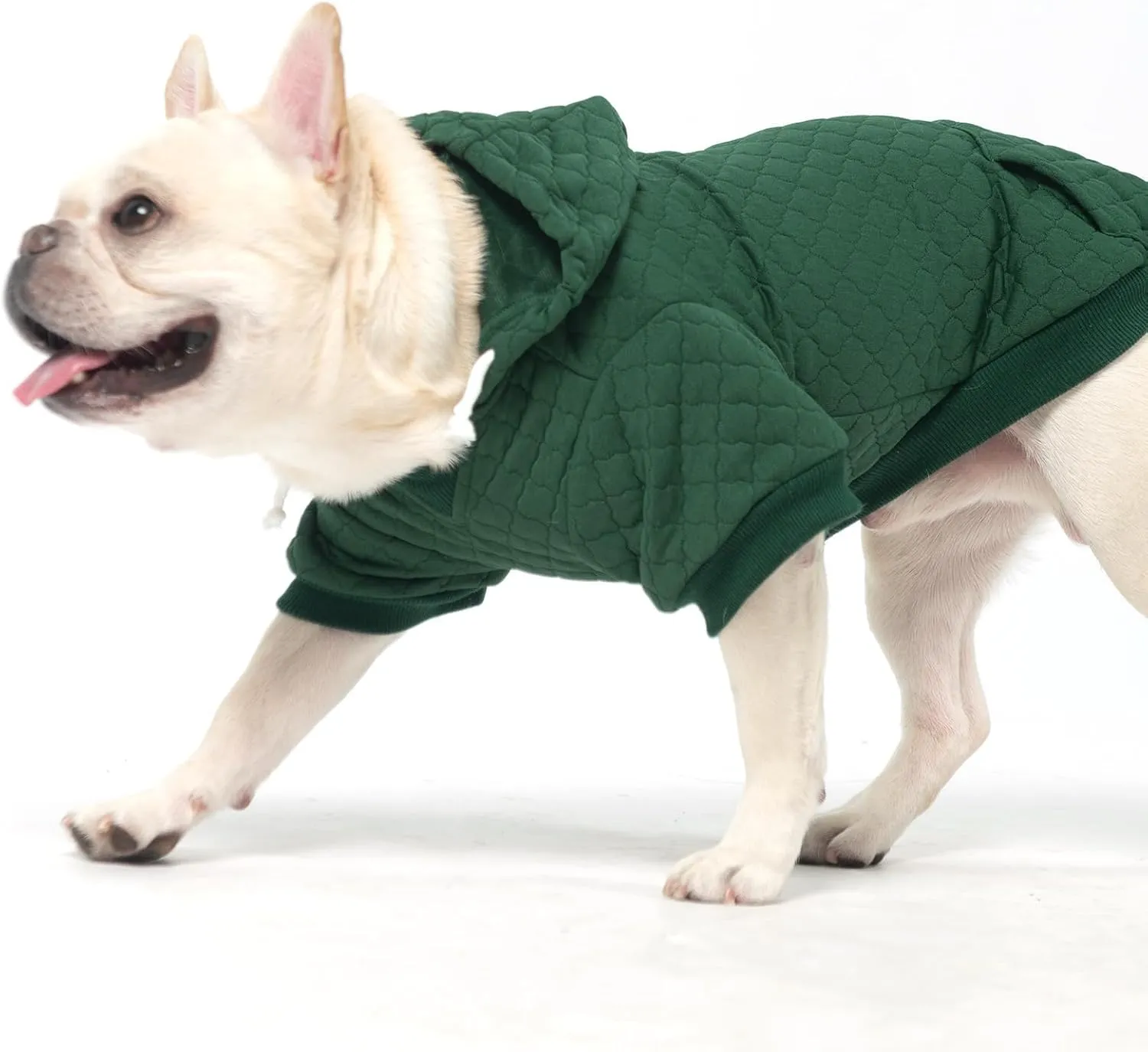 KOOLTAIL Dog Hoodie Pet Clothes Sweater with Hat and Pocket for Small Medium Large Dogs, Warm Soft Dog Cold Weather Coat, Clover Laminated Cotton Hooded Sweatshirt Outfit for Puppy Cats, Green XXS
