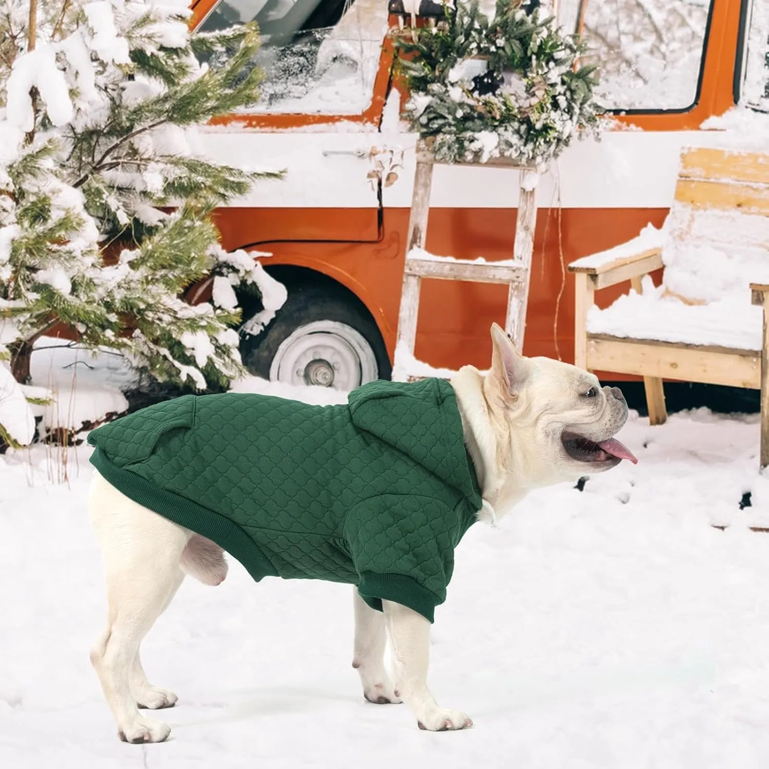 KOOLTAIL Dog Hoodie Pet Clothes Sweater with Hat and Pocket for Small Medium Large Dogs, Warm Soft Dog Cold Weather Coat, Clover Laminated Cotton Hooded Sweatshirt Outfit for Puppy Cats, Green XXS