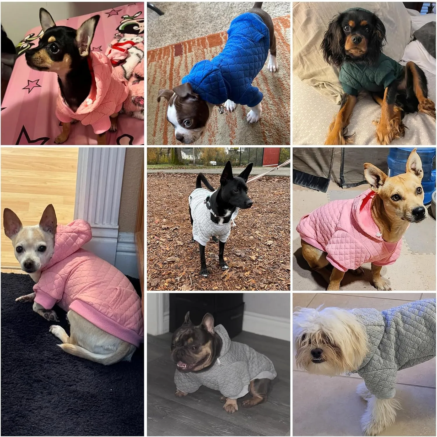 KOOLTAIL Dog Hoodie Pet Clothes Sweater with Hat and Pocket for Small Medium Large Dogs, Warm Soft Dog Cold Weather Coat, Clover Laminated Cotton Hooded Sweatshirt Outfit for Puppy Cats, Green XXS