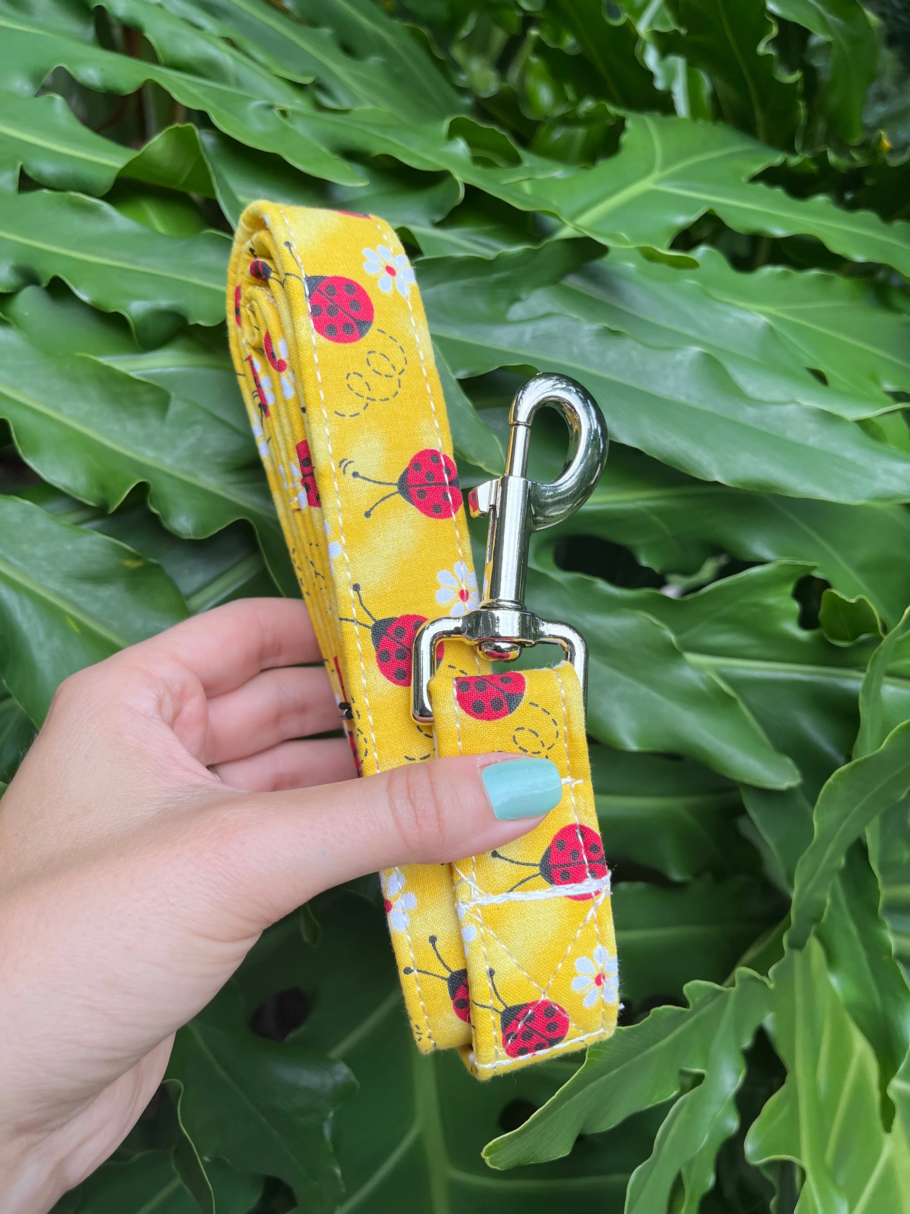 Lady Bug Dog Leash