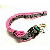 LAZER BRITE LEASHES
