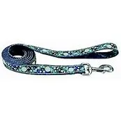 LAZER BRITE LEASHES