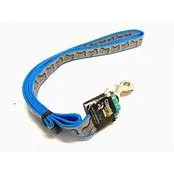 LAZER BRITE LEASHES