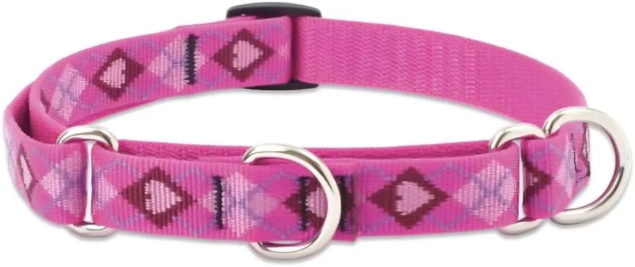 LupinePet Originals 3/4" Puppy Love 14-20" Martingale Collar for Medium and Larger Dogs
