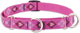 LupinePet Originals 3/4" Puppy Love 14-20" Martingale Collar for Medium and Larger Dogs