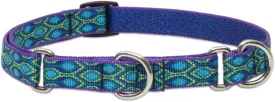 LupinePet Originals 3/4" Rain Song 14-20" Martingale Collar for Medium and Larger Dogs