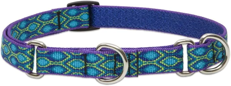 LupinePet Originals 3/4" Rain Song 14-20" Martingale Collar for Medium and Larger Dogs