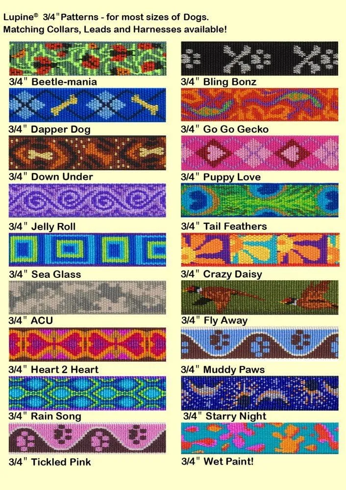 LupinePet Originals 3/4" Rain Song 14-20" Martingale Collar for Medium and Larger Dogs