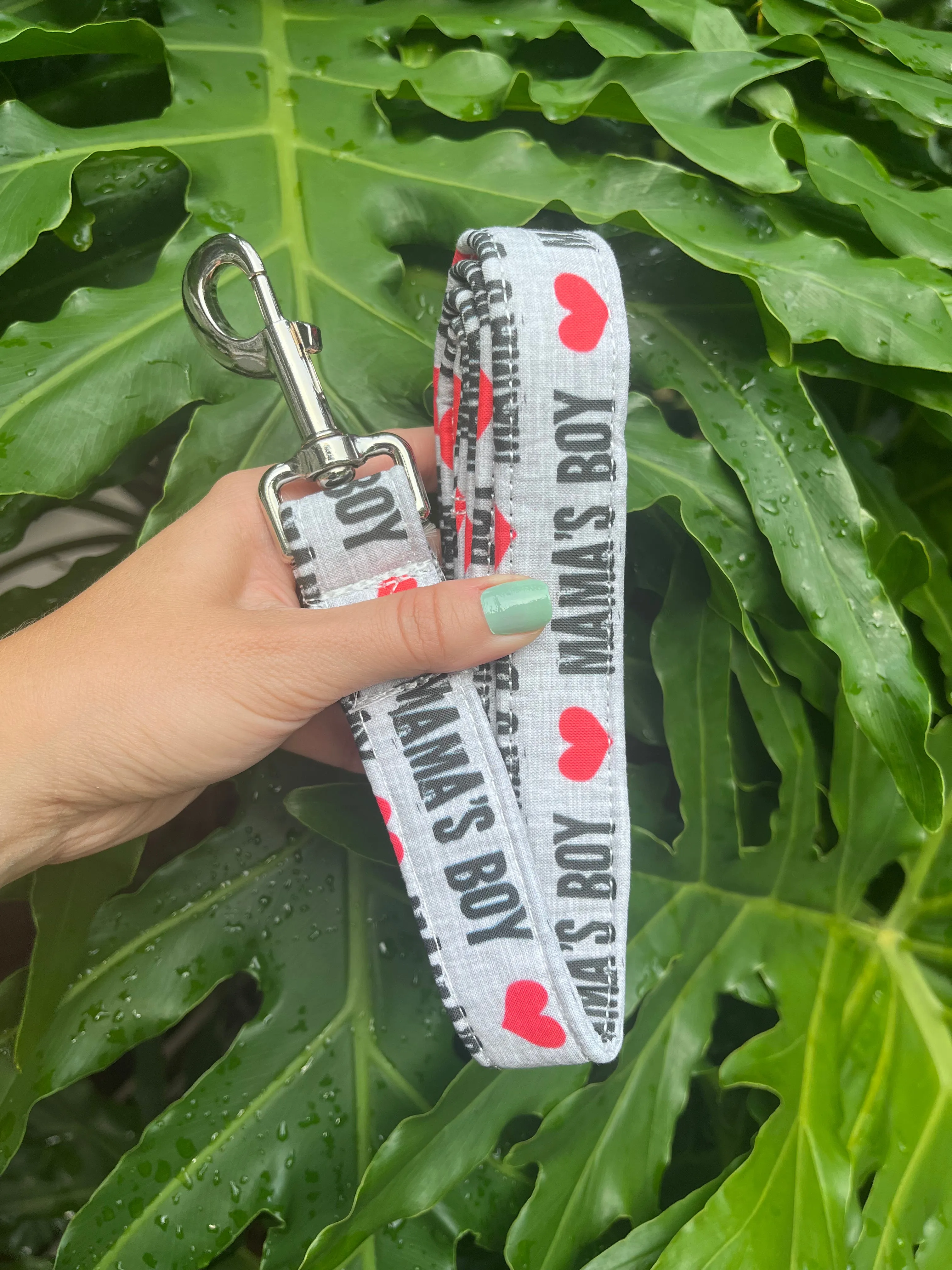 Mama's & Daddy's Boys and Girls Dog Leashes
