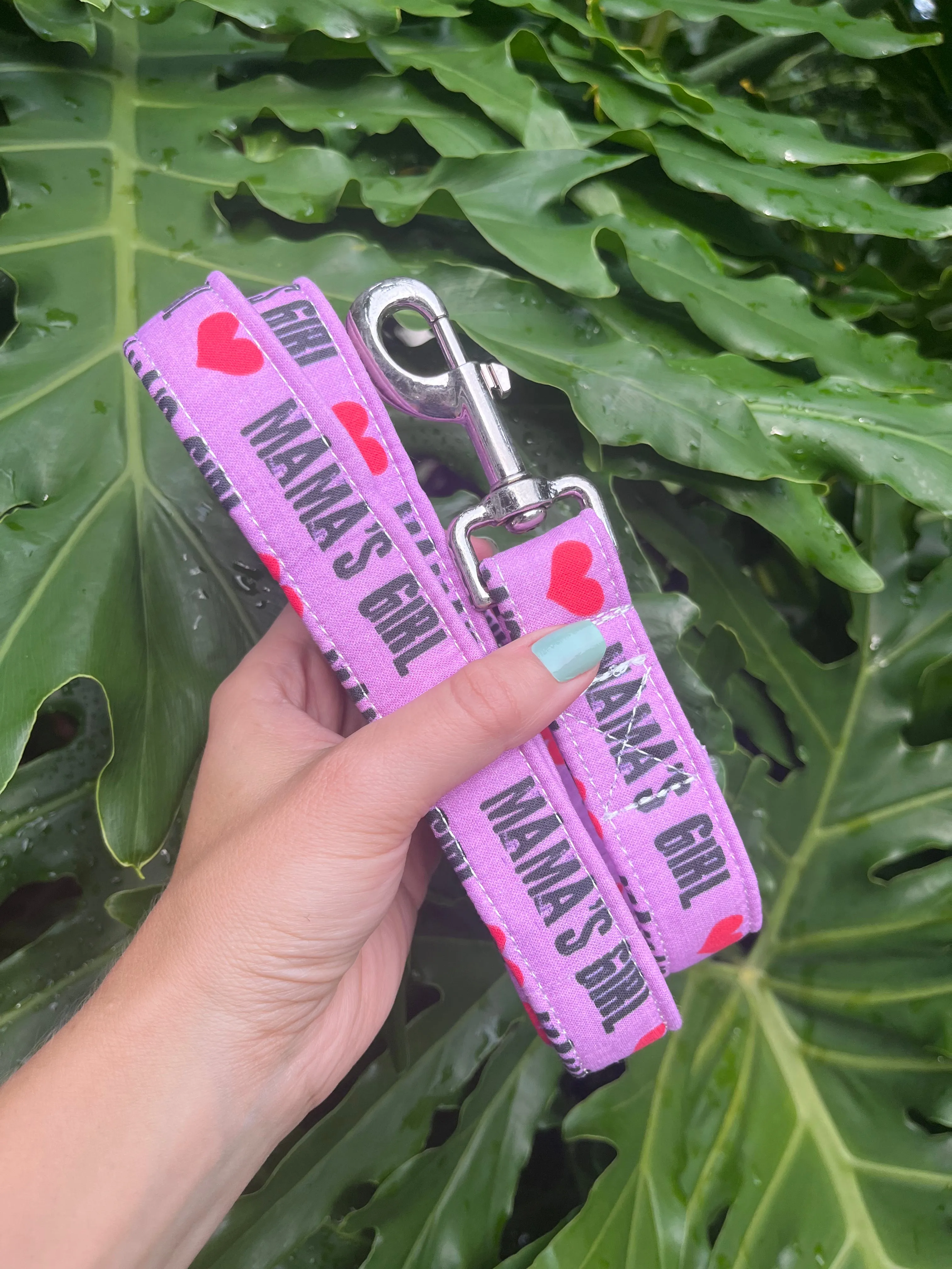 Mama's & Daddy's Boys and Girls Dog Leashes