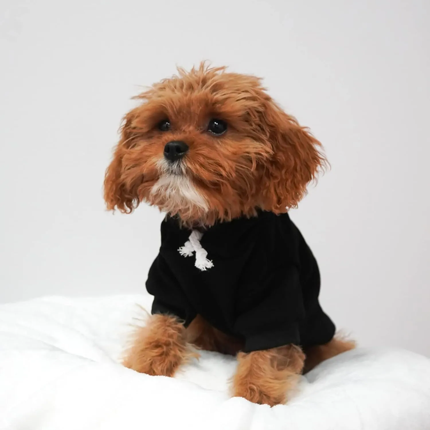 My Dad is Single Dog Hoodie Fleece Lined Pullover Sweatshirt with Leash Hole (Hot Pink, X-Large 114)
