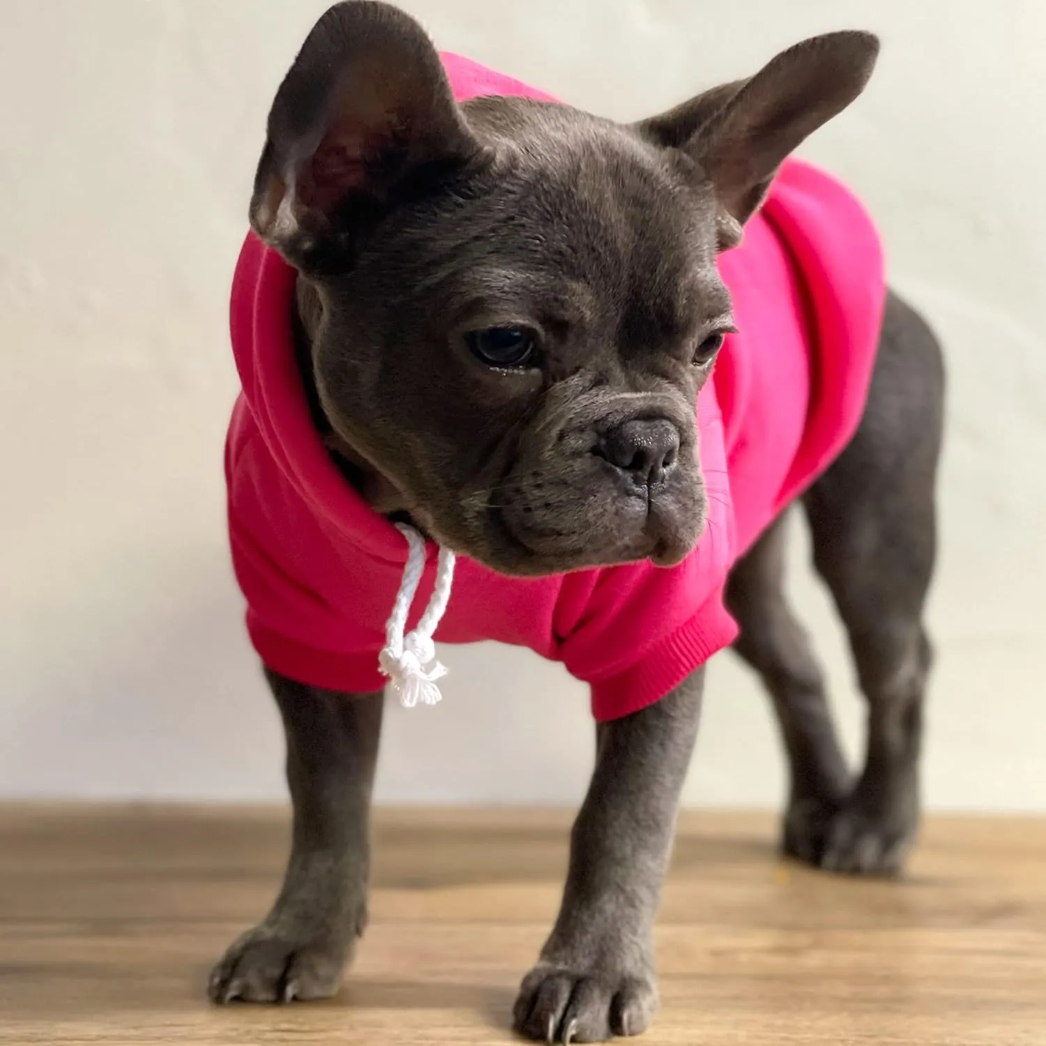 My Dad is Single Dog Hoodie Fleece Lined Pullover Sweatshirt with Leash Hole (Hot Pink, X-Large 114)