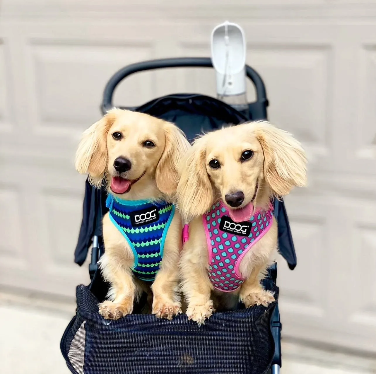 Neoflex Soft Harness - Luna