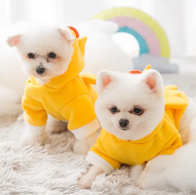 New autumn and winter hooded sweater cat small dog pet clothes