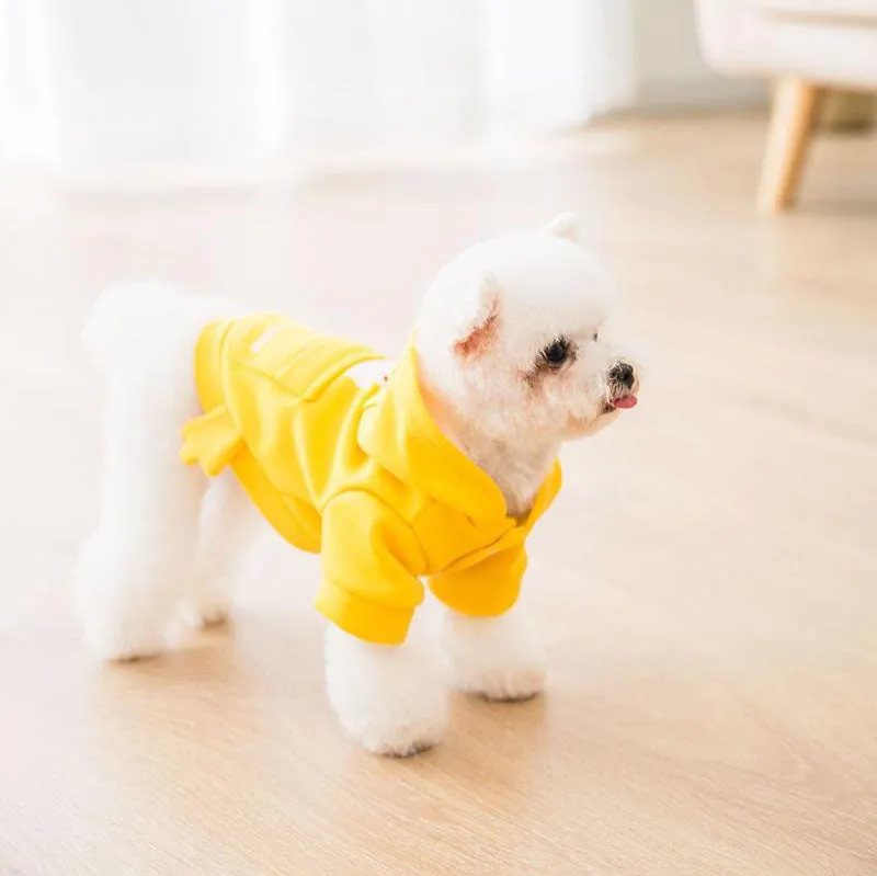 New autumn and winter hooded sweater cat small dog pet clothes