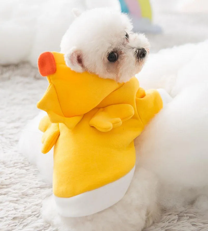 New autumn and winter hooded sweater cat small dog pet clothes