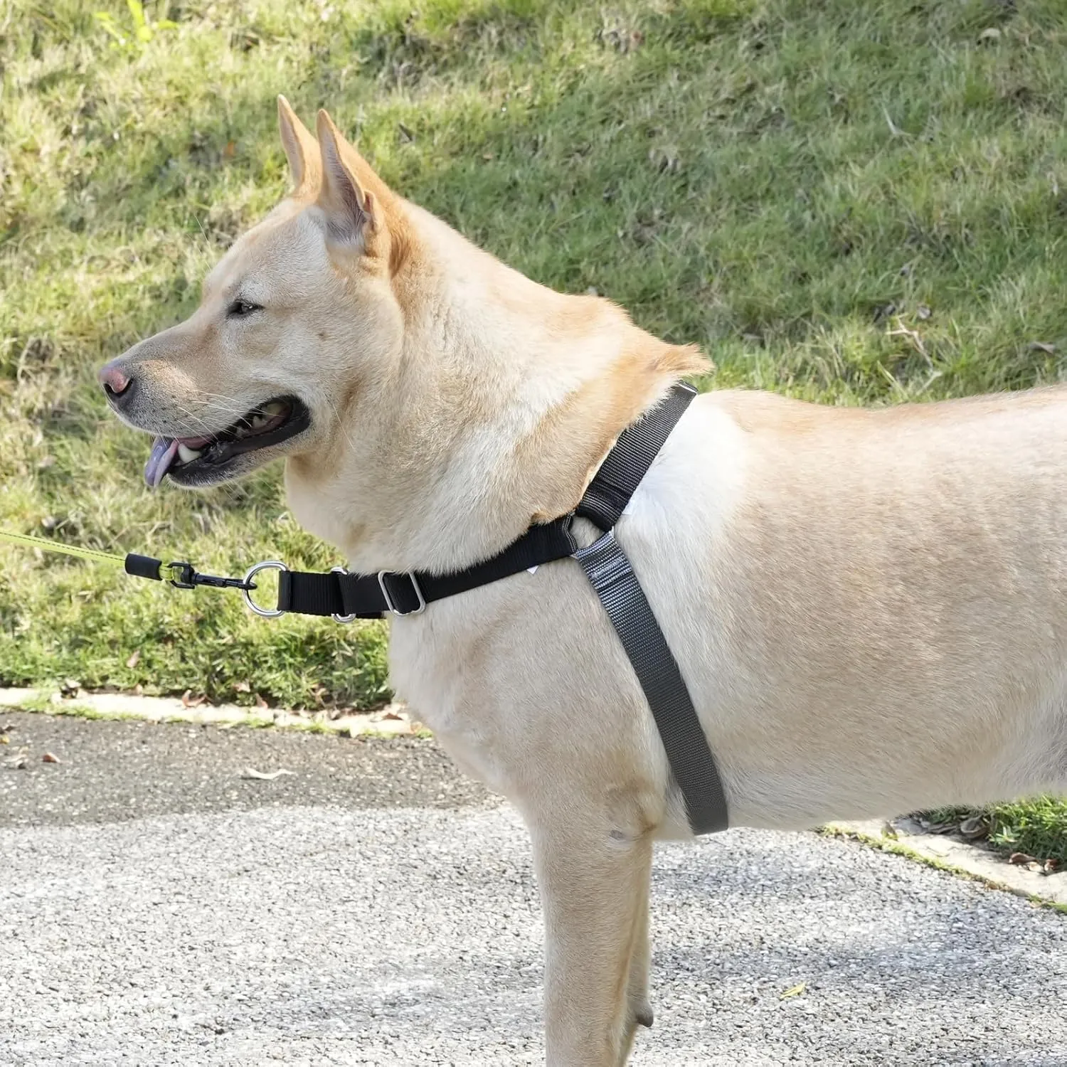 No Pull Dog Harness for Large Size Dogs, Adjustable Harness for Dog Training, Walking & Teach Better Leash Manners, Easy Control to Help Prevent Pets Pulling on Walks (Black, Large)