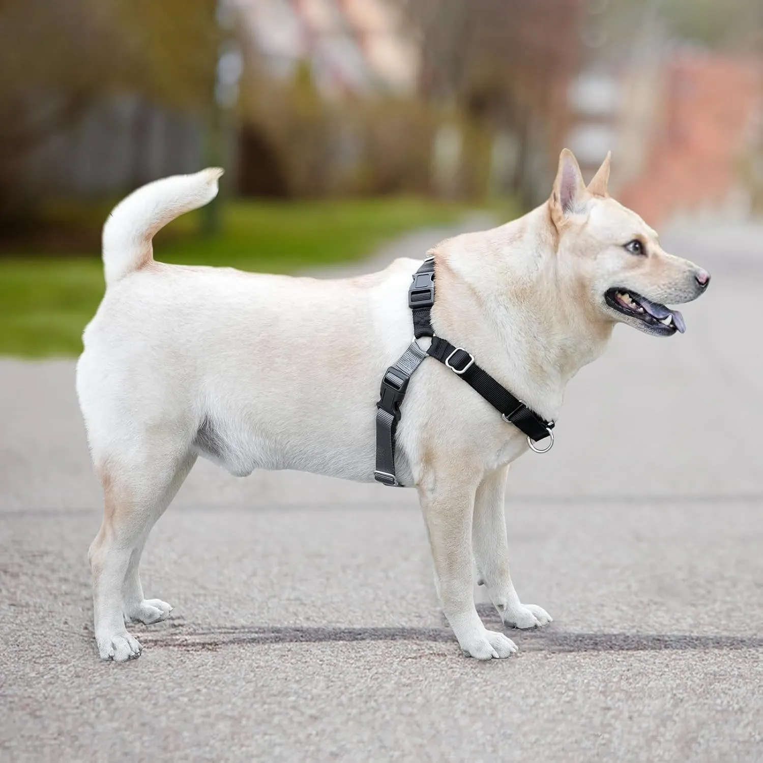 No Pull Dog Harness for Large Size Dogs, Adjustable Harness for Dog Training, Walking & Teach Better Leash Manners, Easy Control to Help Prevent Pets Pulling on Walks (Black, Large)