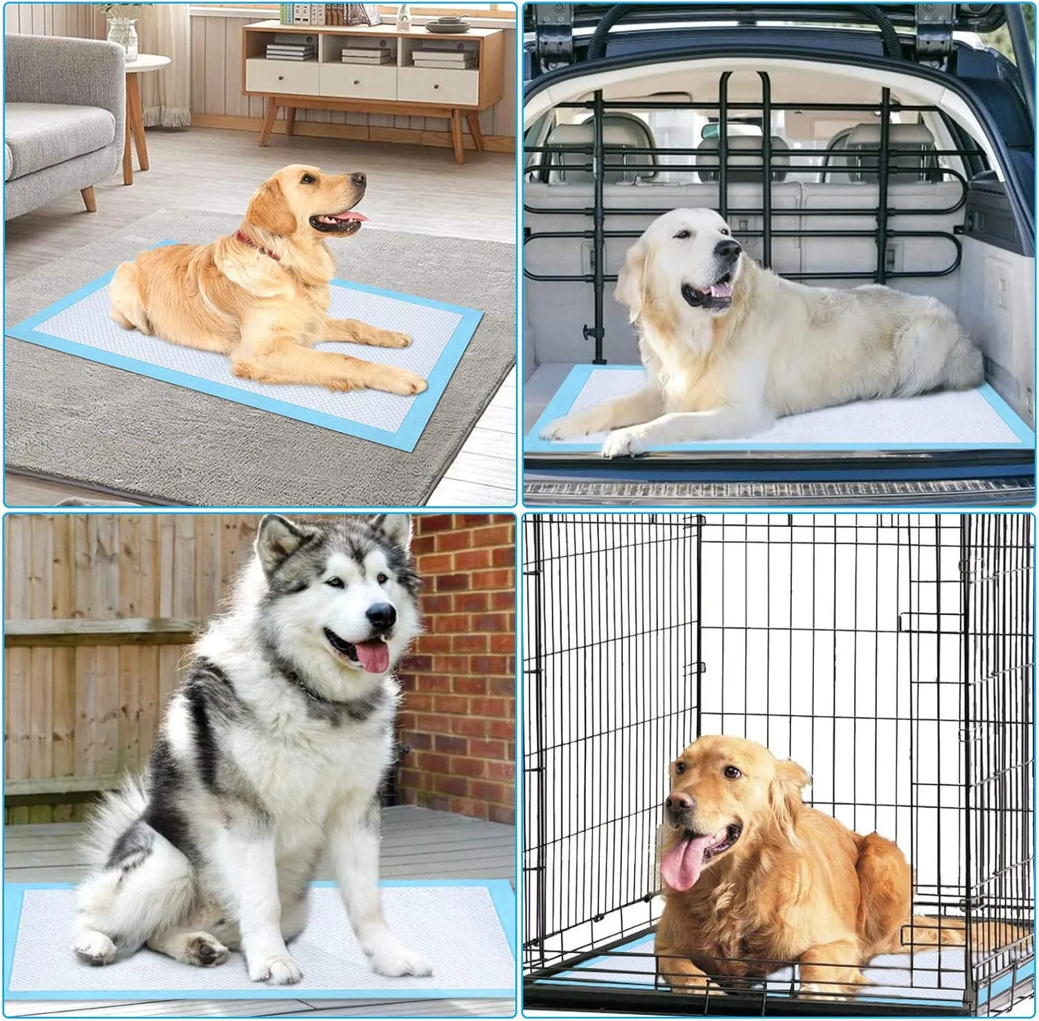 Ownpets Dog Training Extra Large Pad 35 x 32, Leak-Proof 6-Layer Pet Potty Training Pads Pee Pads with Quick-Dry Surface for Pets, Puppies, Adult, Sick & Aging Dogs, 20 Counts