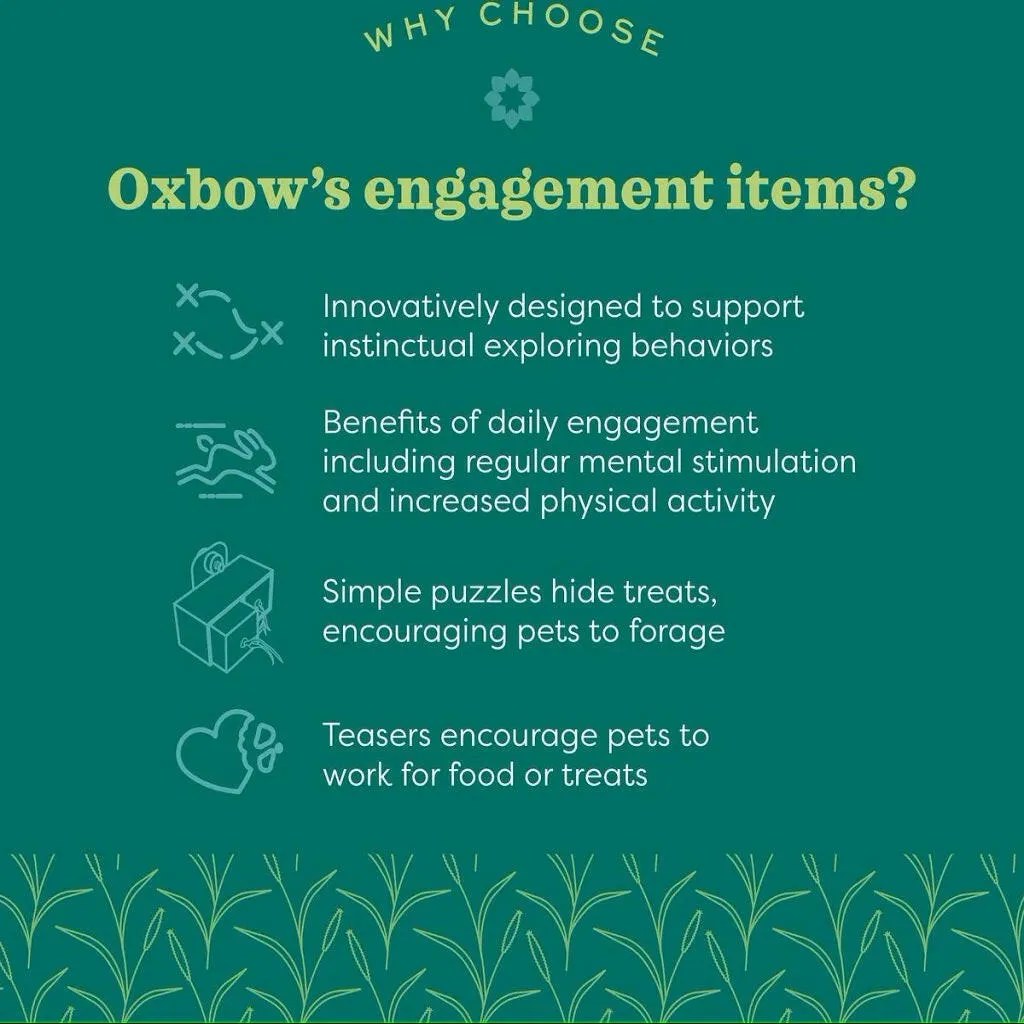 Oxbow Animal Health Clay Forage Pot Chew Toys for Small Animals