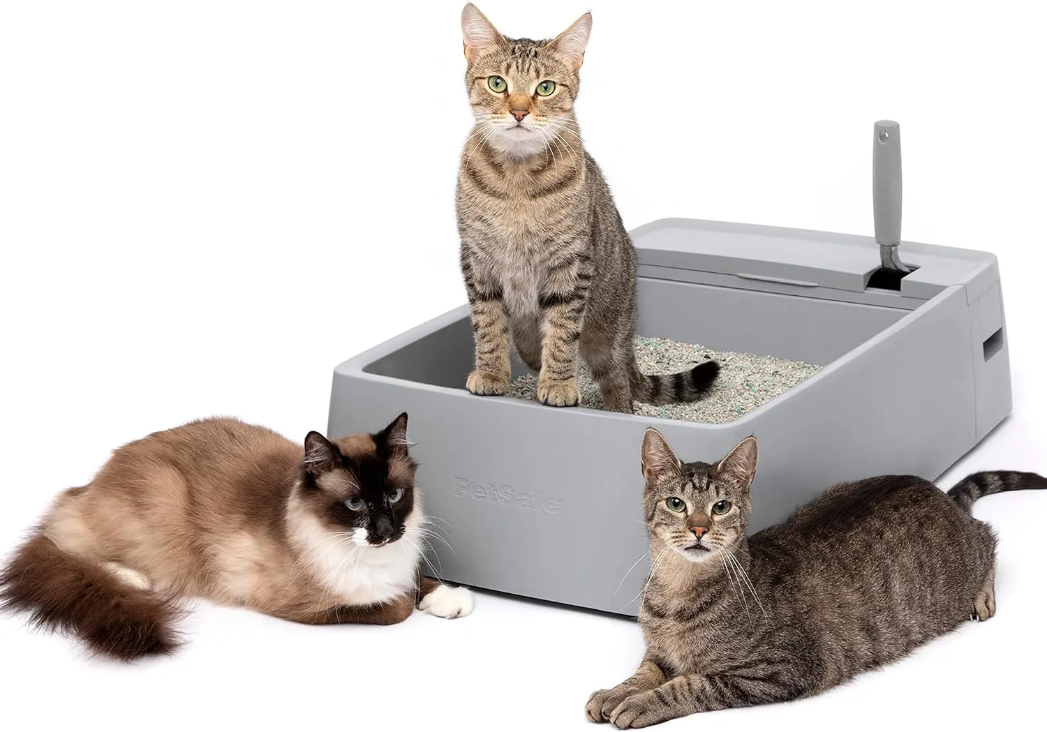 PetSafe ,,,,