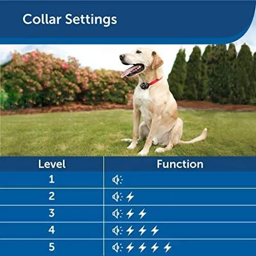 PetSafe Basic In-Ground Dog and Cat Fence - Underground Electric Pet Fence - from The Parent Company of Invisible Fence Brand