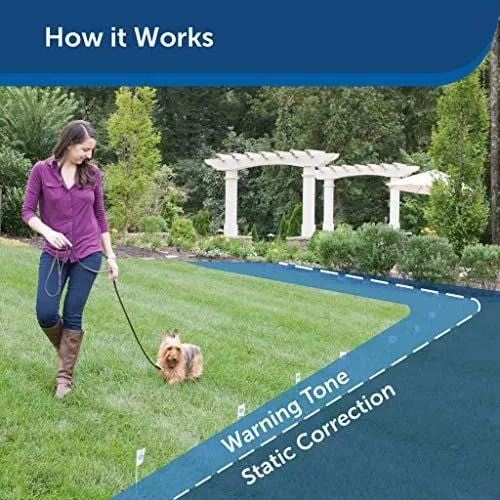 PetSafe Basic In-Ground Dog and Cat Fence - Underground Electric Pet Fence - from The Parent Company of Invisible Fence Brand