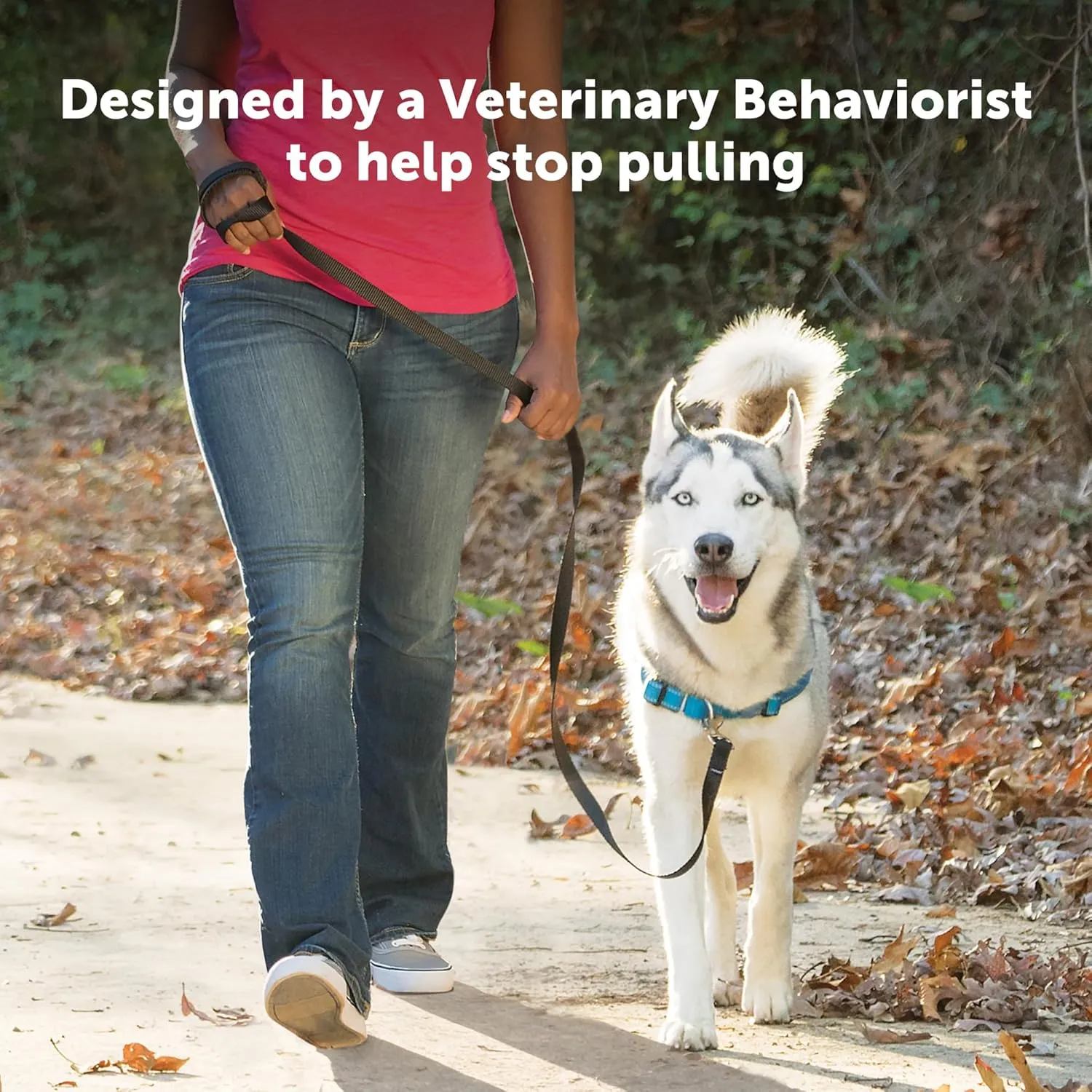 PetSafe Easy Walk Deluxe Dog Harness, No Pull Dog Harness  Perfect for Leash & Harness Training  Stops Pets from Pulling and Choking on Walks  Large, Apple