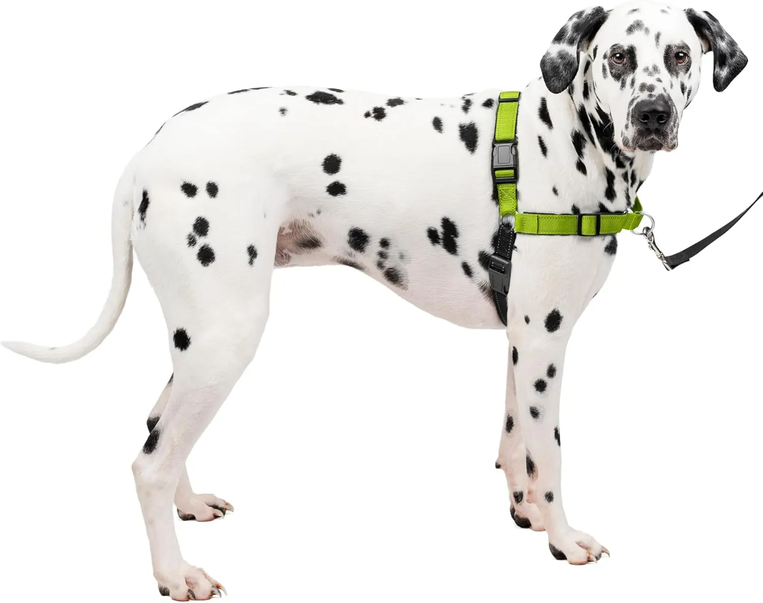PetSafe Easy Walk Deluxe Dog Harness, No Pull Dog Harness  Perfect for Leash & Harness Training  Stops Pets from Pulling and Choking on Walks  Large, Apple