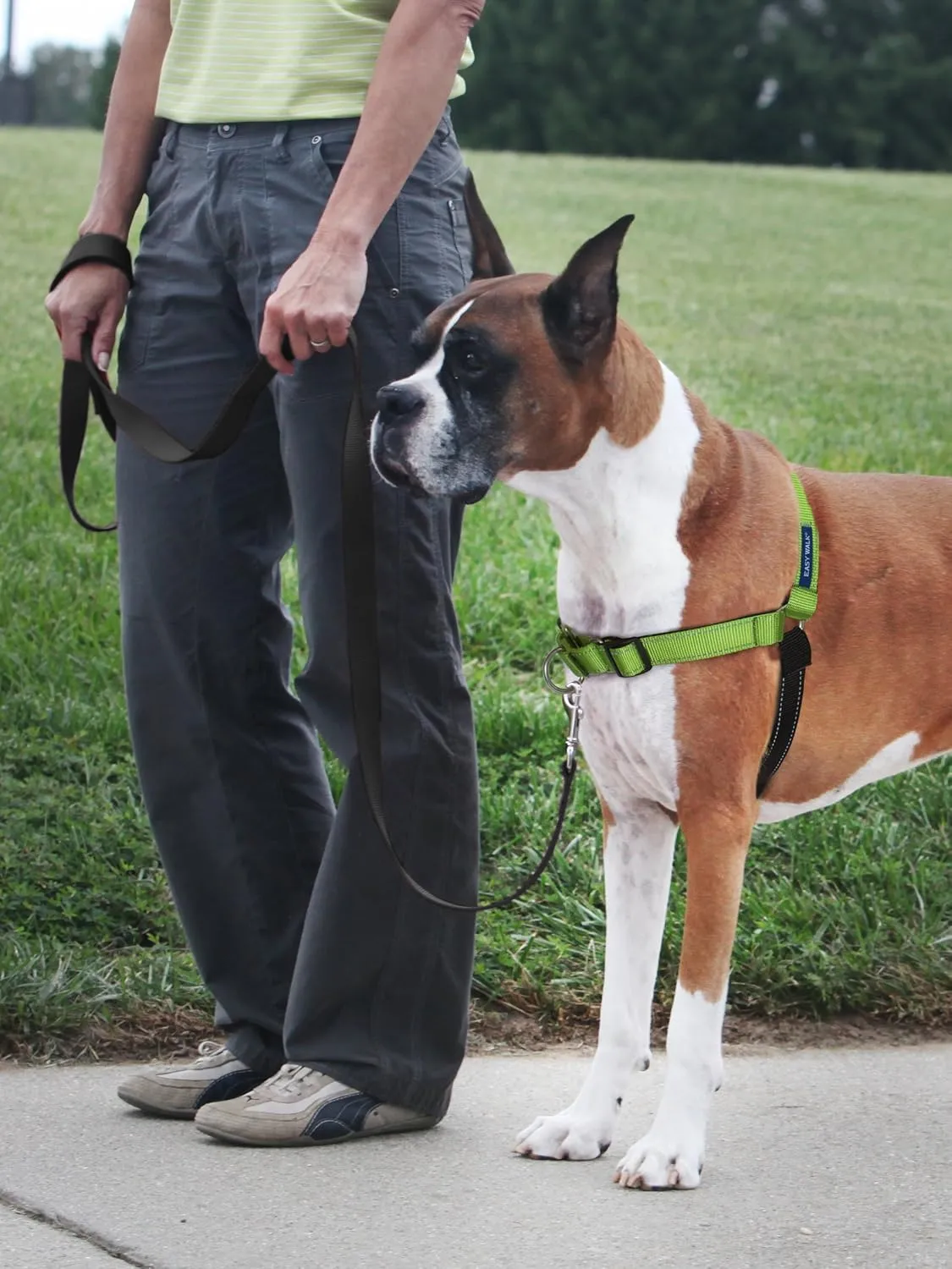 PetSafe Easy Walk Deluxe Dog Harness, No Pull Dog Harness  Perfect for Leash & Harness Training  Stops Pets from Pulling and Choking on Walks  Large, Apple