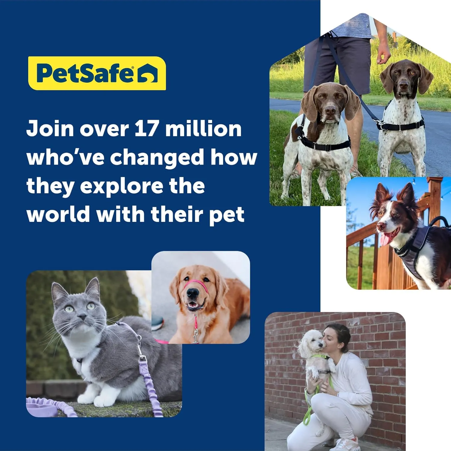 PetSafe Easy Walk Deluxe Dog Harness, No Pull Dog Harness  Perfect for Leash & Harness Training  Stops Pets from Pulling and Choking on Walks  Large, Apple