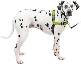 PetSafe Easy Walk Deluxe Dog Harness, No Pull Dog Harness  Perfect for Leash & Harness Training  Stops Pets from Pulling and Choking on Walks  Large, Apple
