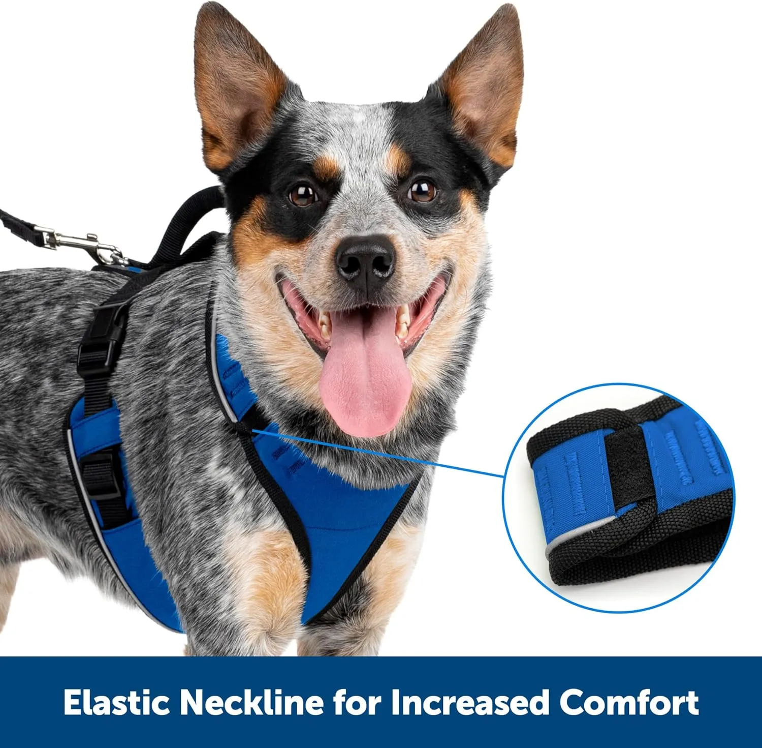 PetSafe EasySport Harness  Padded Straps  Fully Adjustable  Elastic Neckline  Best for Athletic Dogs  Top Handle for Quick Control - Medium - Teal