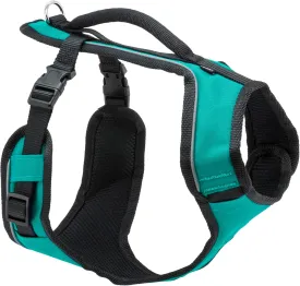 PetSafe EasySport Harness  Padded Straps  Fully Adjustable  Elastic Neckline  Best for Athletic Dogs  Top Handle for Quick Control - Medium - Teal