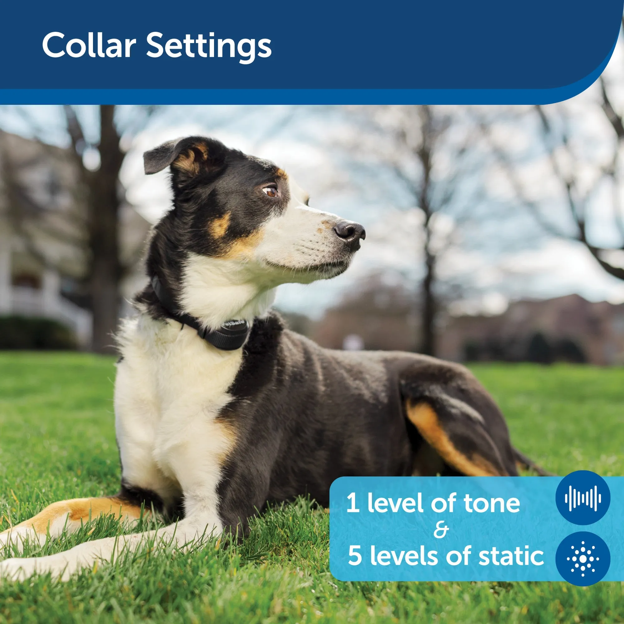 PetSafe Stay & Play Compact Wireless Fence, Secure up to 3/4 Acre Area, Portable System from the Parent Company of INVISIBLE FENCE Brand