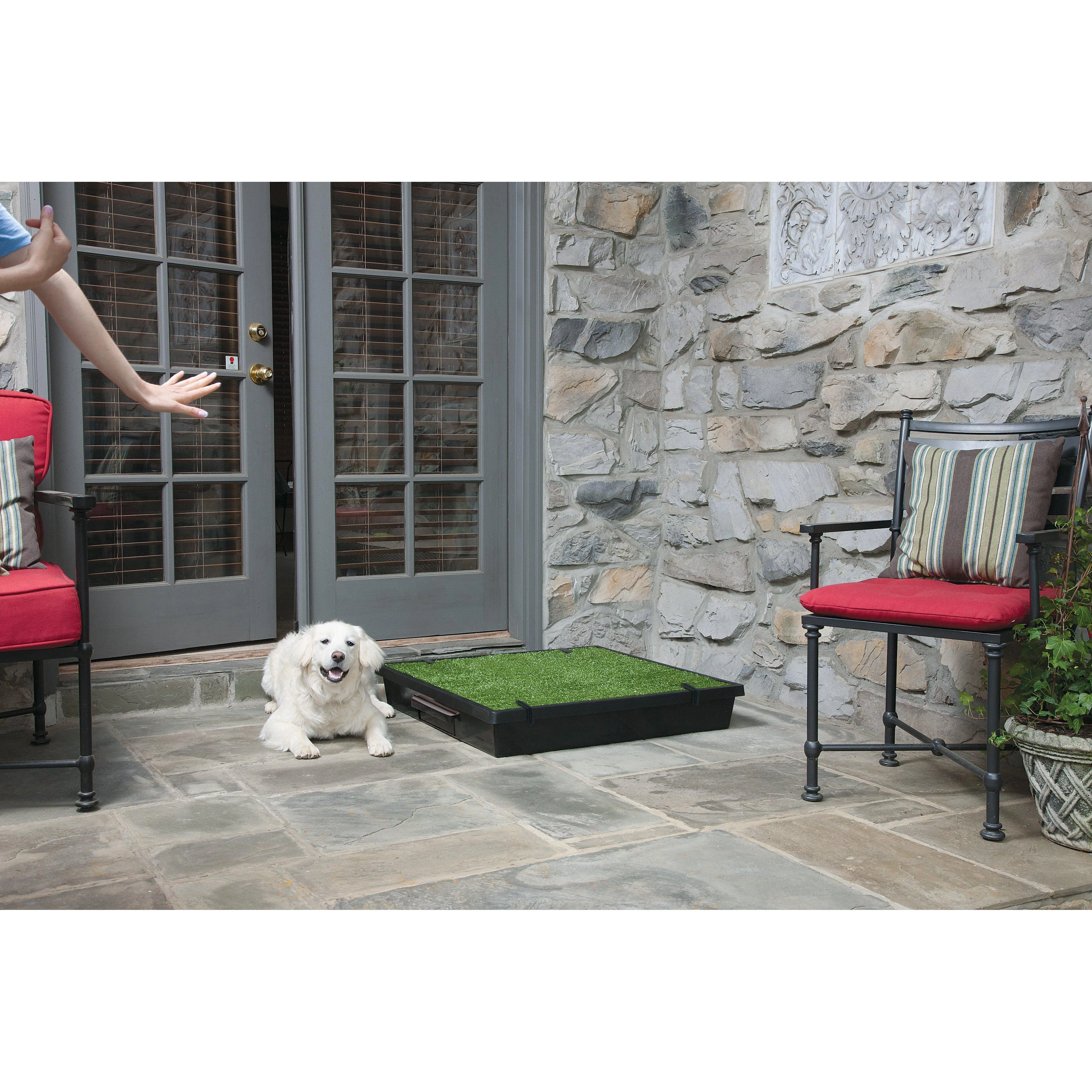 PetSafe The Pet Loo Large Portable Toilet for Dogs