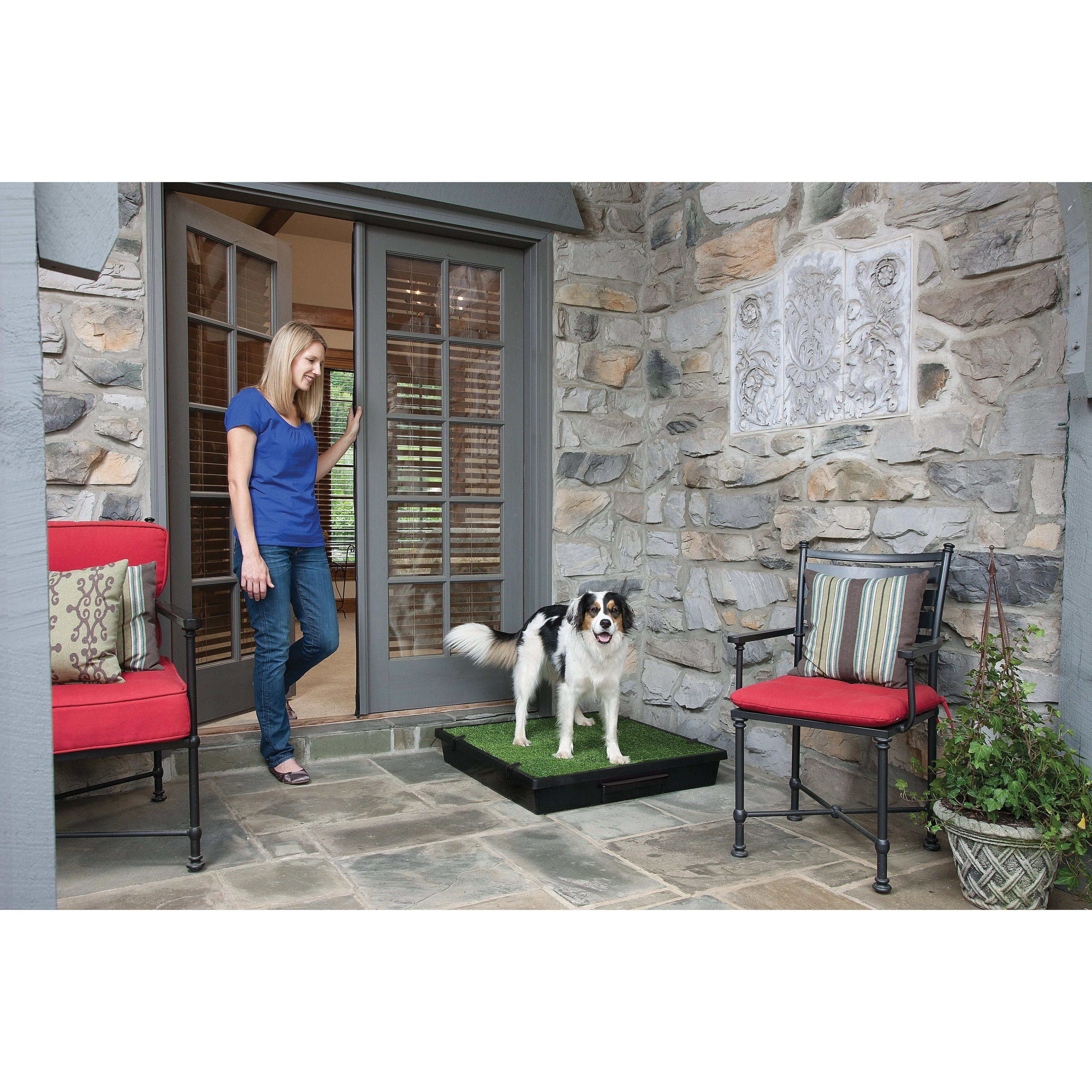 PetSafe The Pet Loo Large Portable Toilet for Dogs