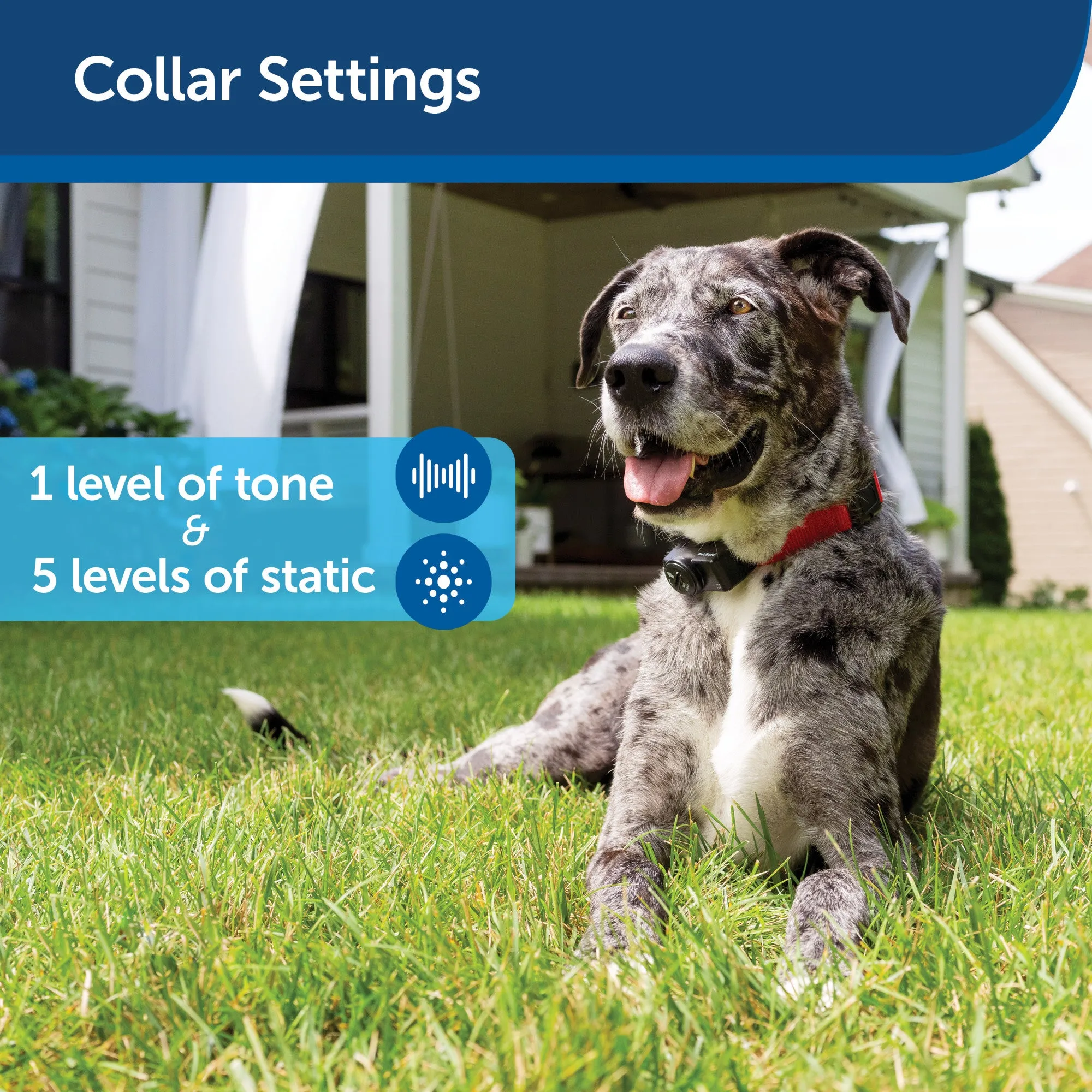 PetSafe Wireless Fence Pet Containment System, Covers up to 1/2 Acre, for Dogs over 8 lb, Waterproof Receiver with Tone / Static Correction - From The Parent Company of INVISIBLE FENCE Brand