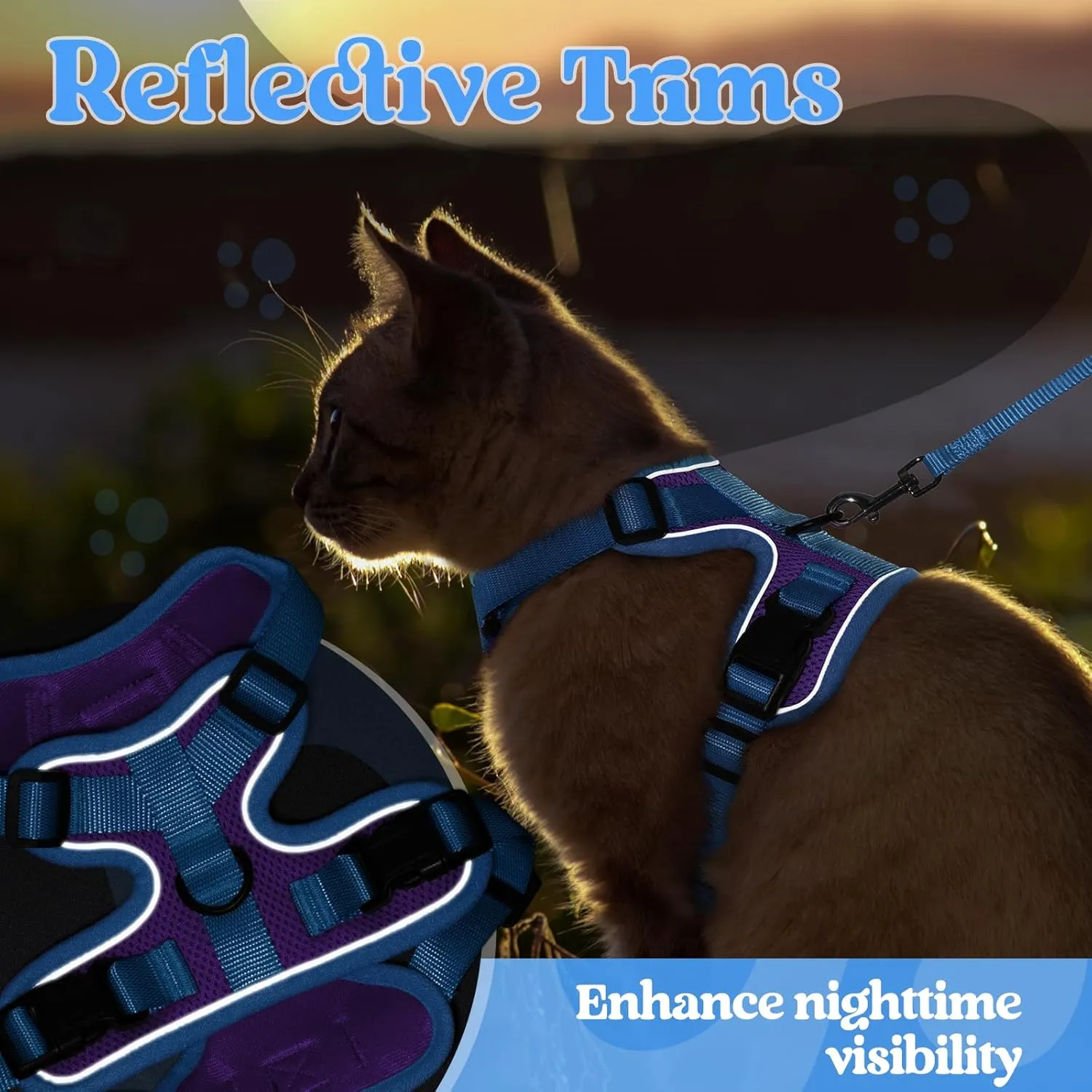 rabbitgoo Cat Harness and Leash Set, Escape Proof Soft Adjustable Vest Harnesses for Outdoor Walking, Easy Control Breathable Kitten Jacket with Reflective Strips, Purple & Blue, XS