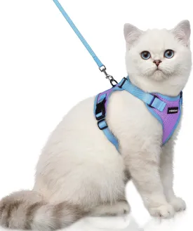 rabbitgoo Cat Harness and Leash Set, Escape Proof Soft Adjustable Vest Harnesses for Outdoor Walking, Easy Control Breathable Kitten Jacket with Reflective Strips, Purple & Blue, XS