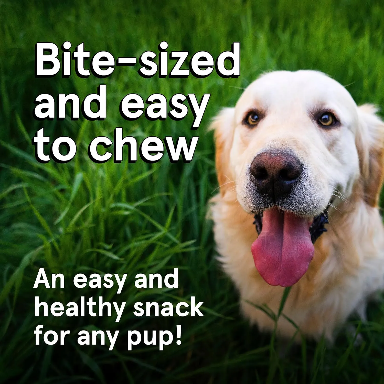 Real Meat Dog Treats - 12oz Bag of Bite-Sized Air-Dried Venison Jerky for Dogs - Grain-Free Jerky Dog Treats Made up of 95% Human-Grade, Free-Range, Grass Fed Venison - Natural High Protein Dog Treats