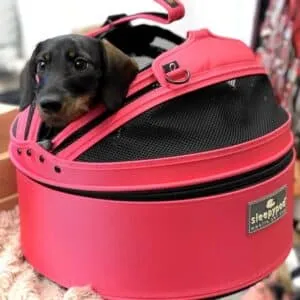 Sleepypod Pet Carrier