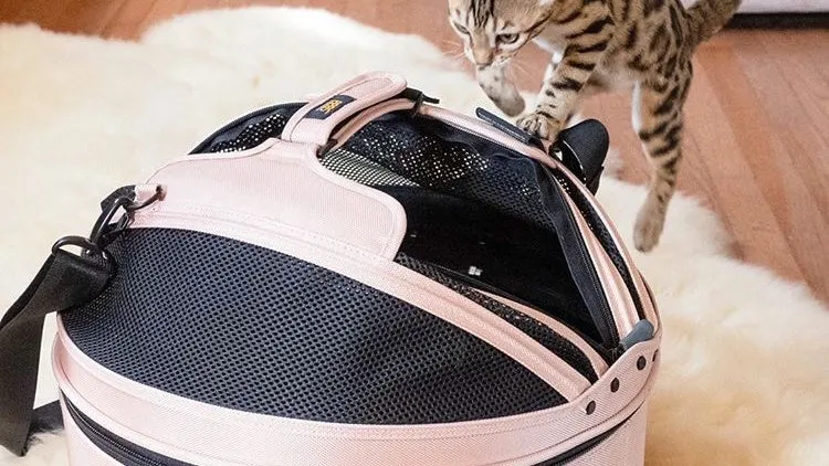 Sleepypod Pet Carrier