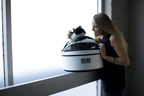 Sleepypod Pet Carrier