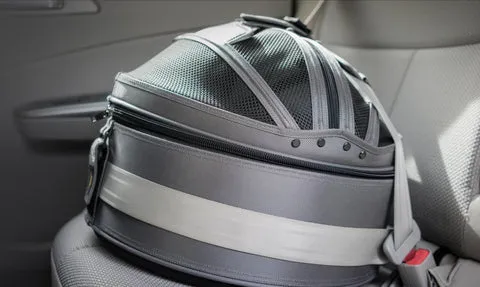 Sleepypod Pet Carrier