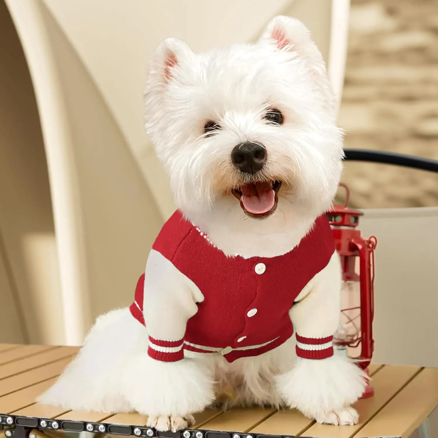 Small Dog Sweater, Warm Pet Sweaters, Cute Knitted Classic Sweaters for Dogs, Cat Dog Sweatshirt Clothes Coat Apparel