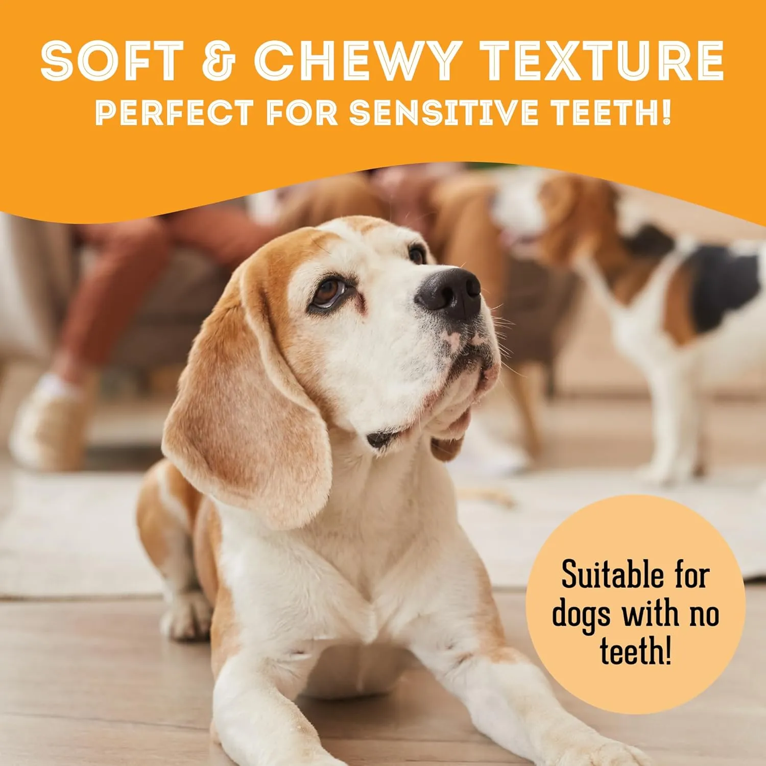 Soft & Chewy Cheese & Pork Treats for Dogs & Cats (6.17 oz, Pack of 1) - Pork Dog Treats & Cat Treats - Natural Dog Treats, Grain Free